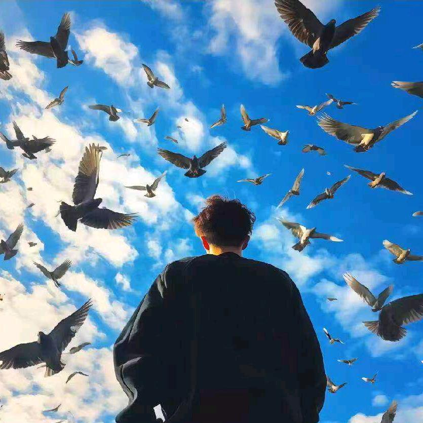 安阳市粉条哥农产品店