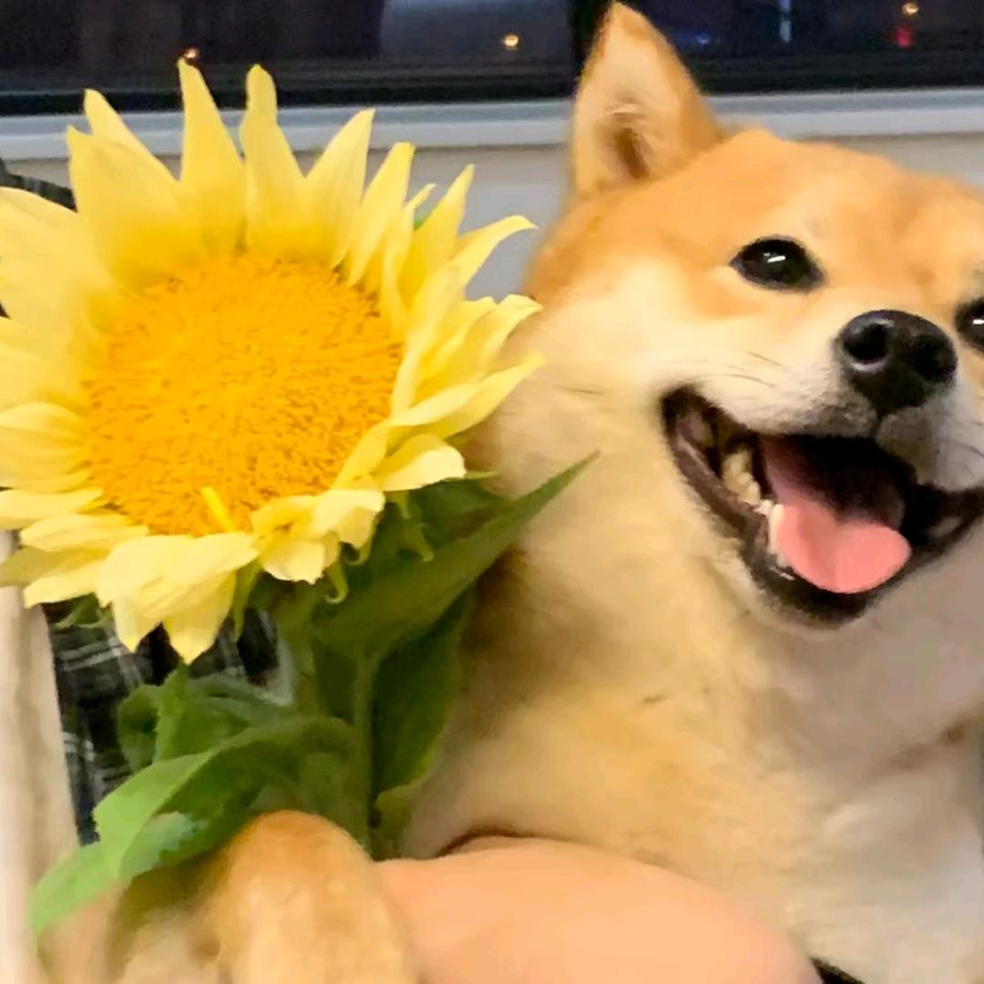 Kio7z（三角洲行动）