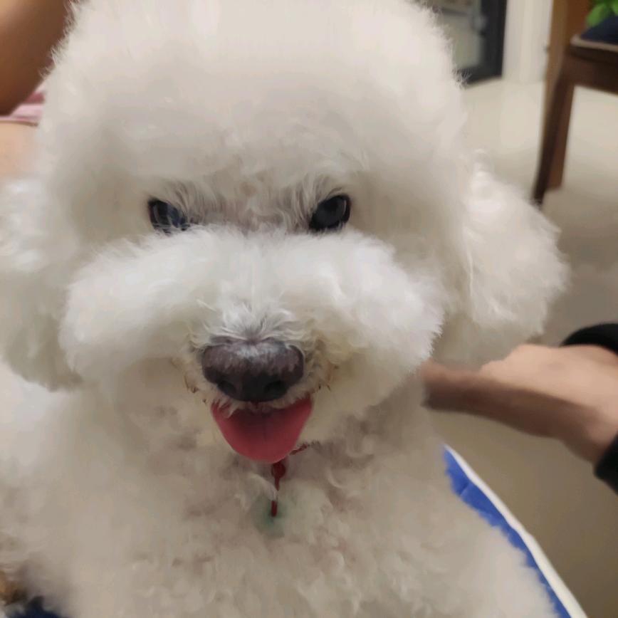 乐乐🐶妈妈👩爱满屋🏠