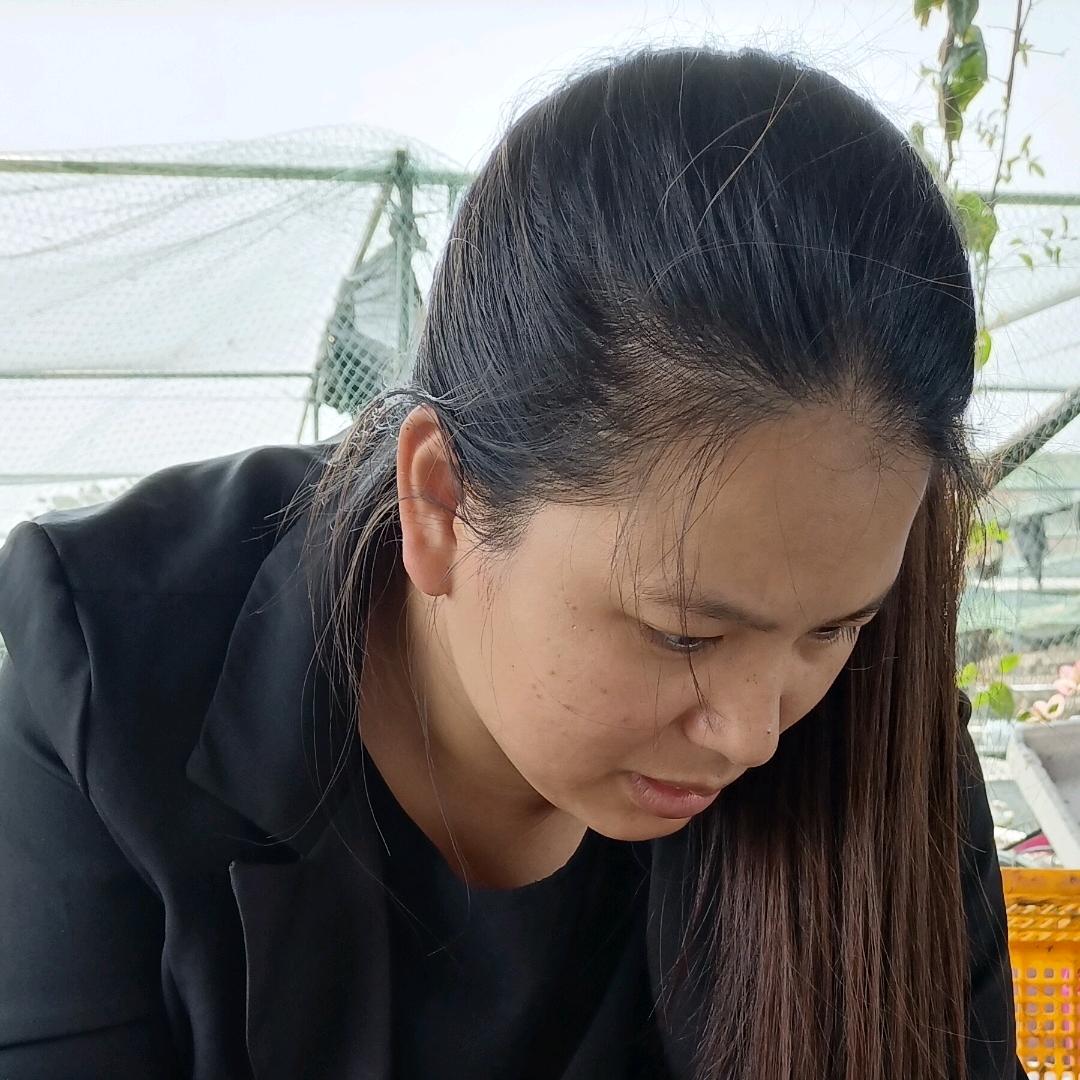 小春金鱼