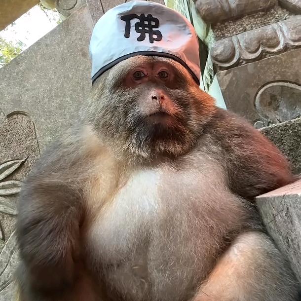 算你狠🤓