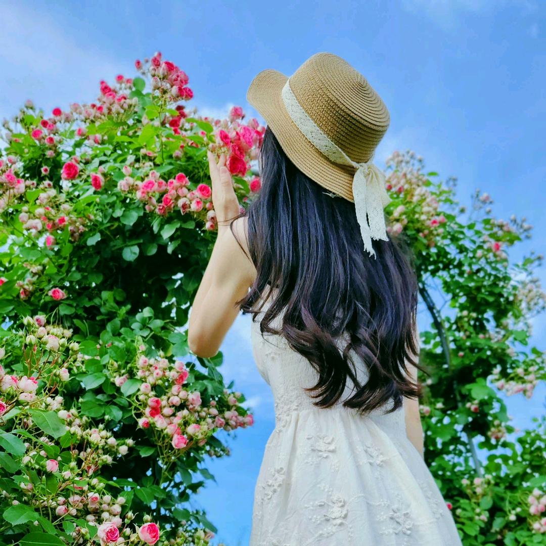铿锵玫瑰