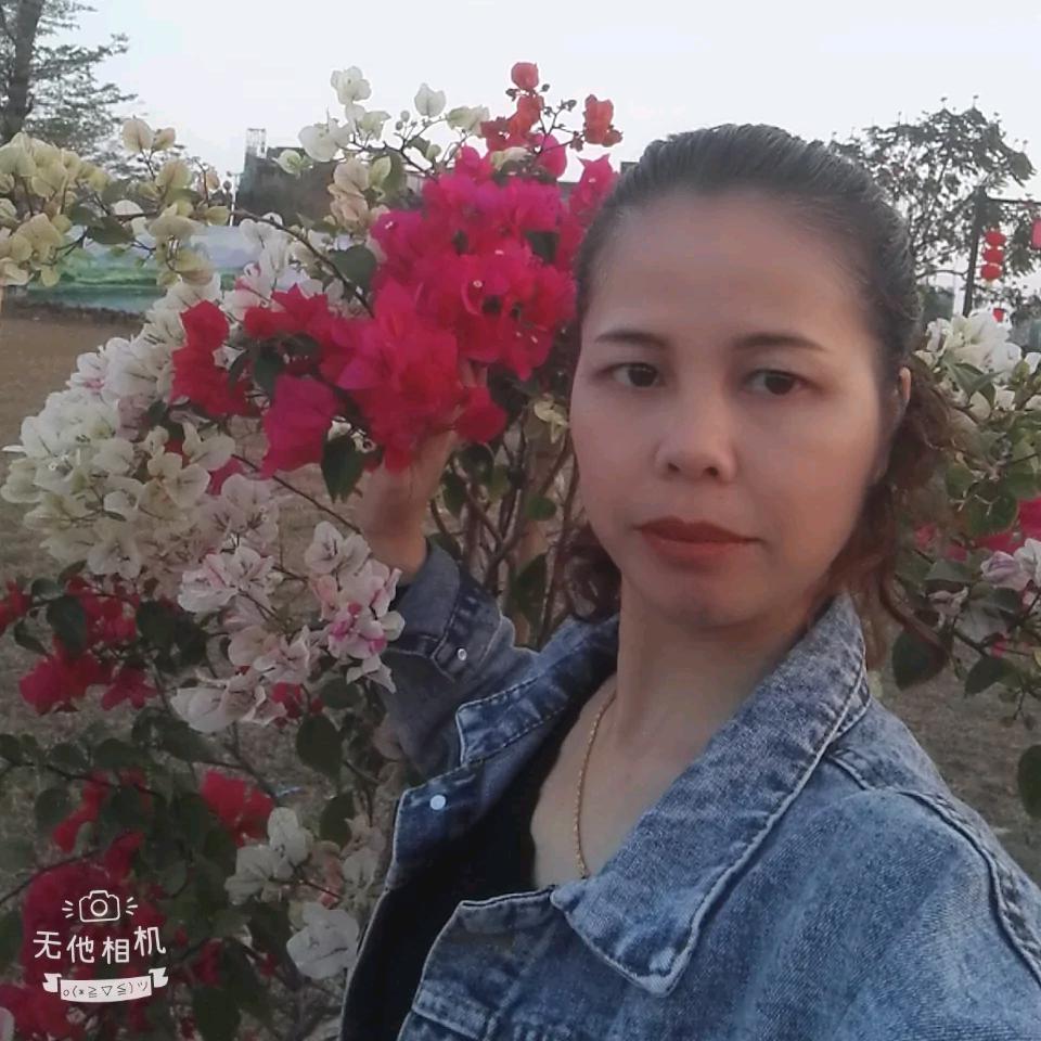 @莉莉