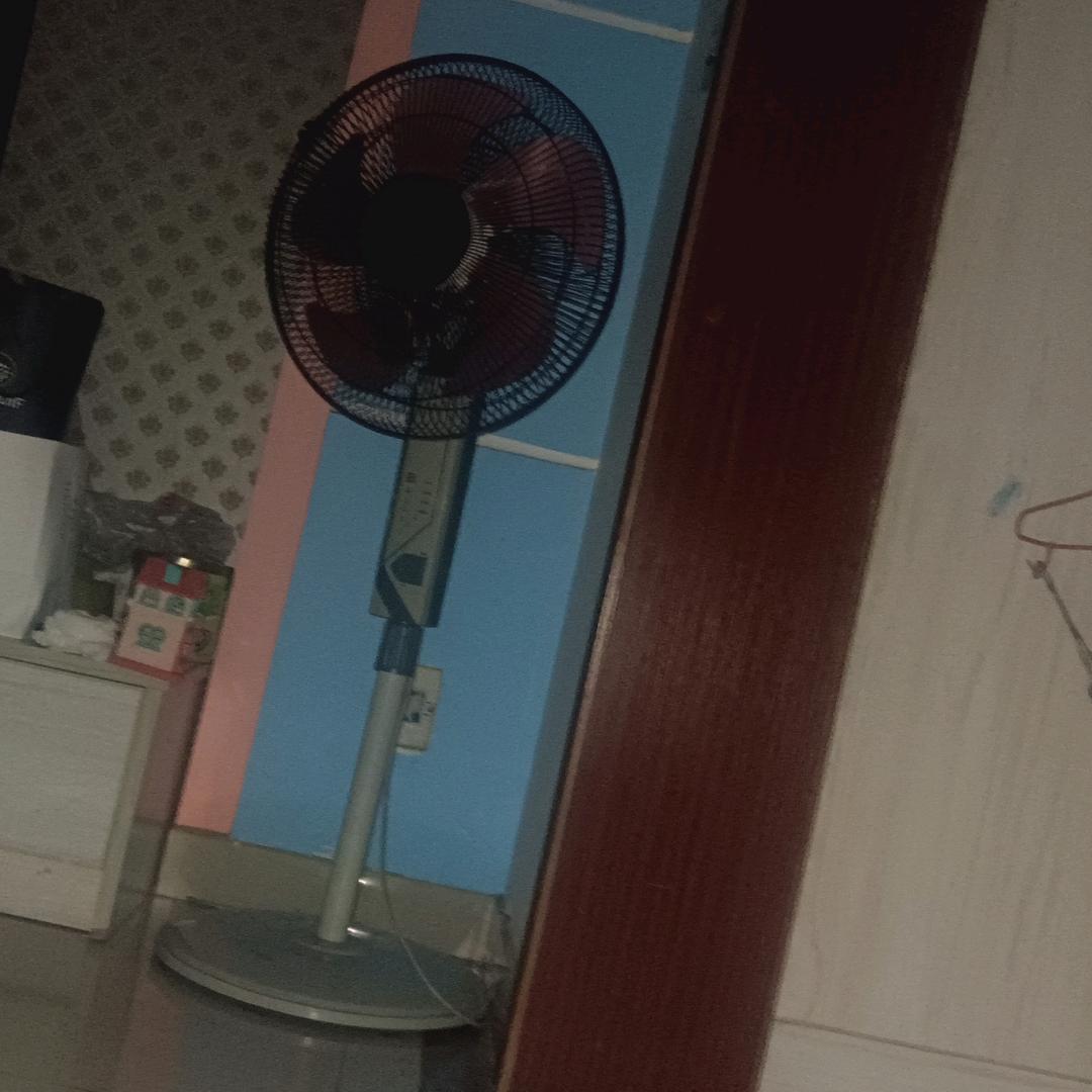 游贤兵
