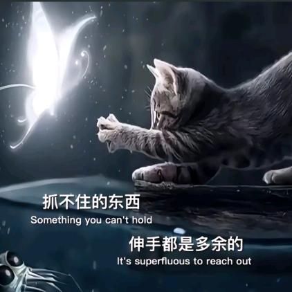 ღ执念💔碾成灰ꫛ