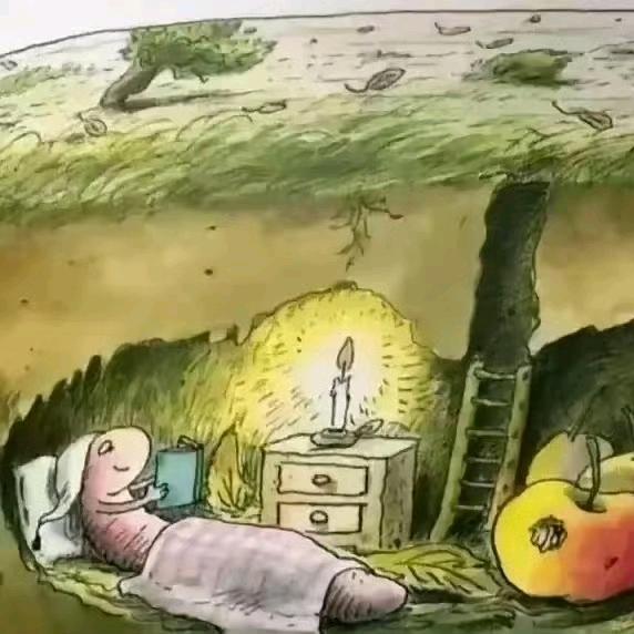 土豆尔豪和香菜