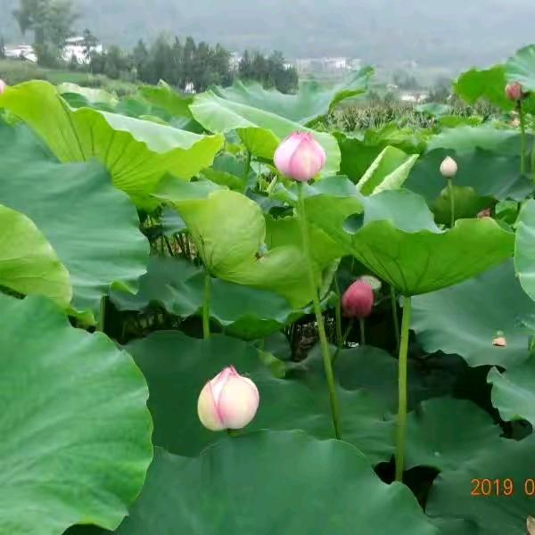 健康♥幸福
