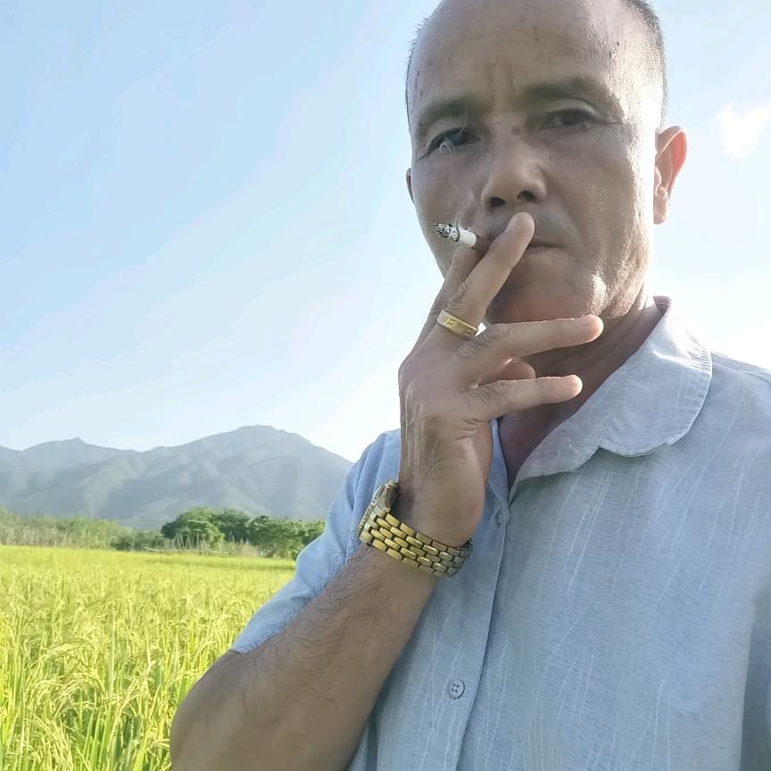 🐄牛哥，搬🧱砖👬兄弟