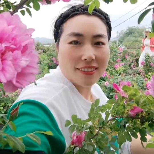 江南小青