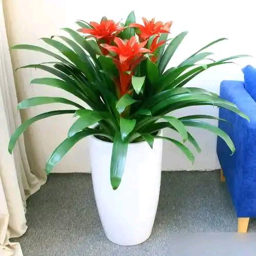 益合纯手工水饺