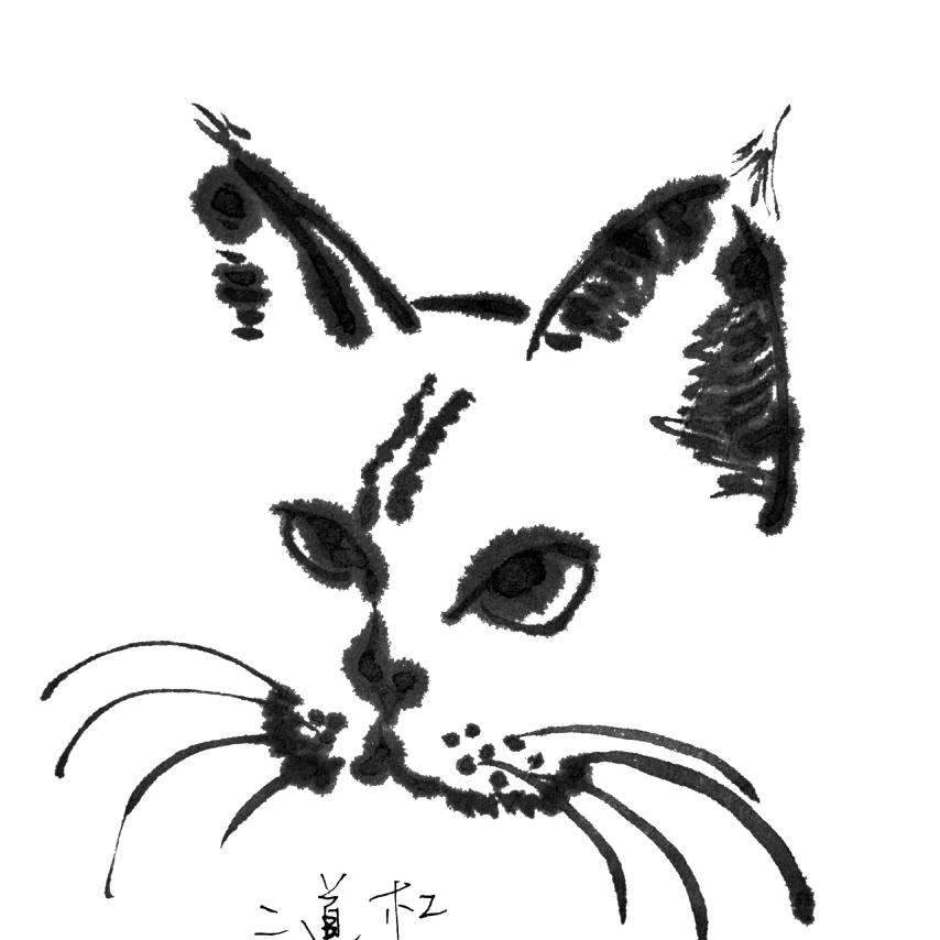 爱目外Q