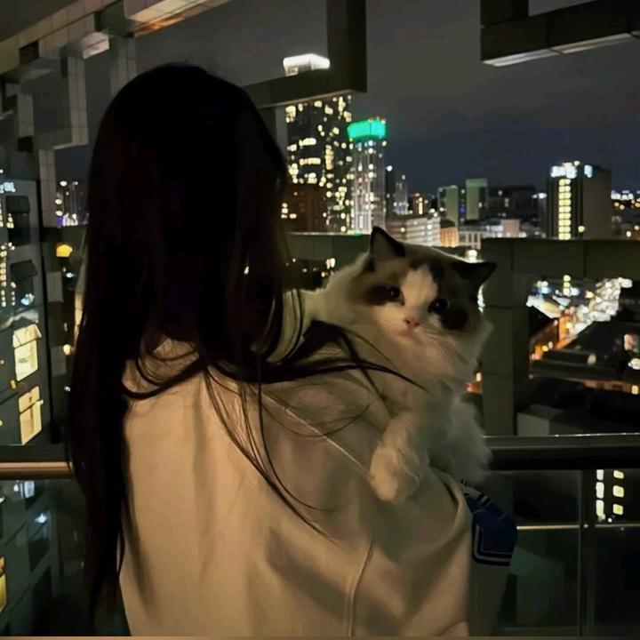 十九洲"℡