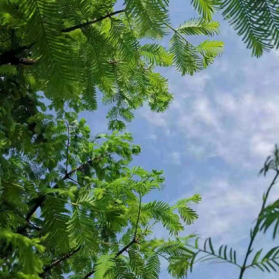 @🍀春暖花开🌹