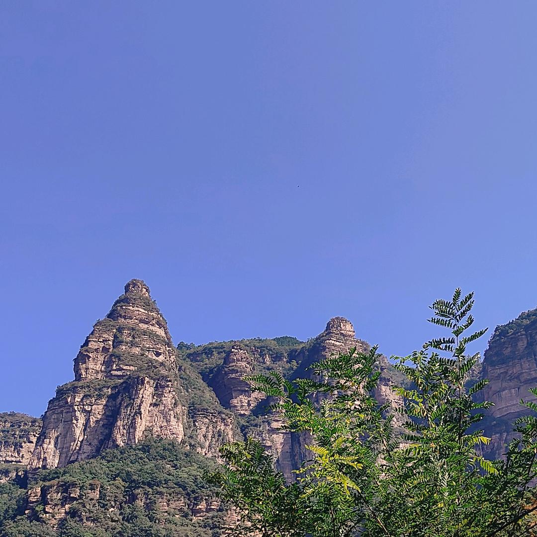 听歌赏景