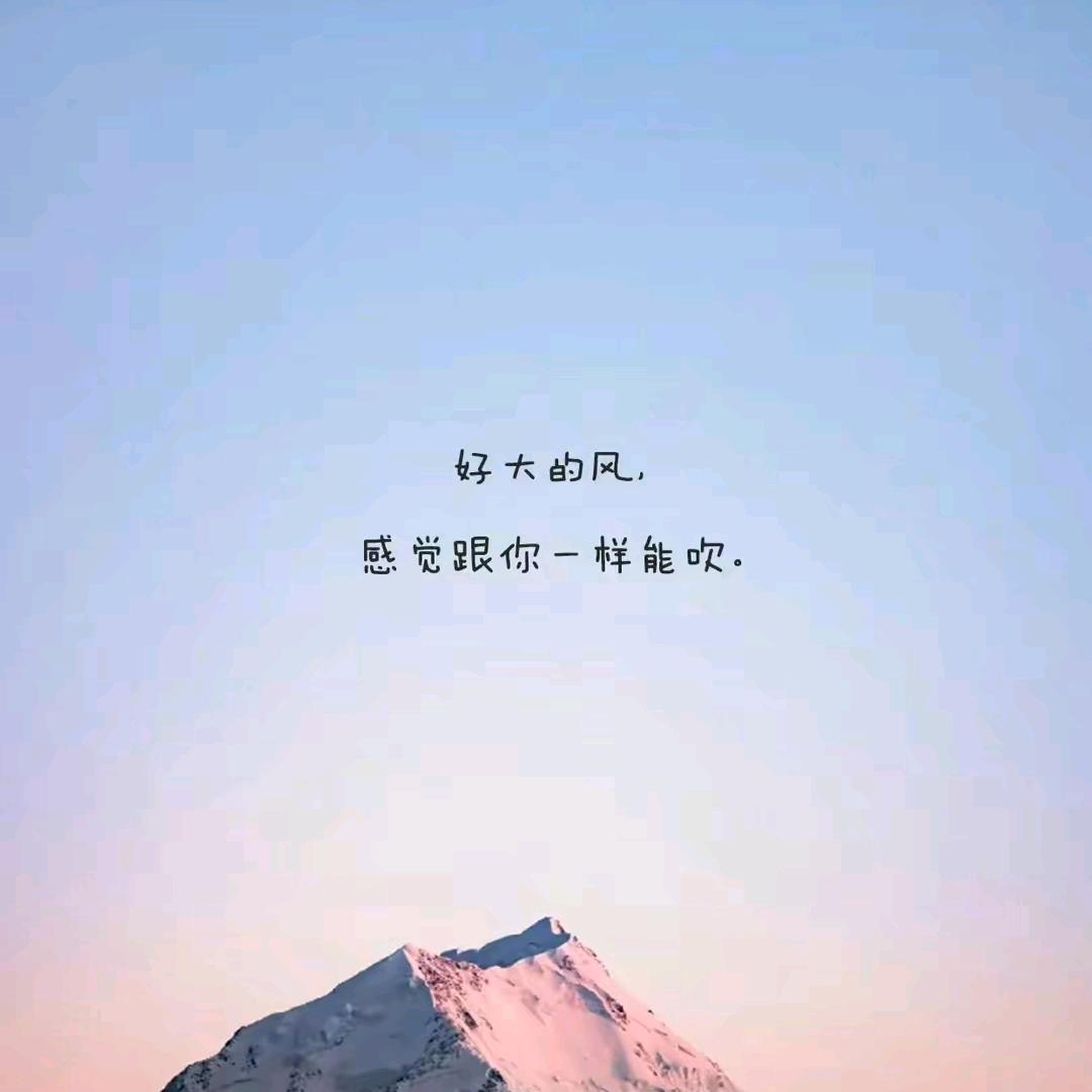 李李家好