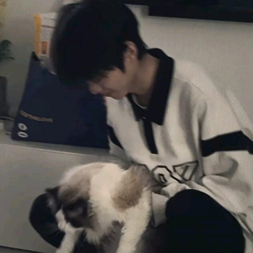 晓梦泞