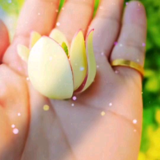 再见已是陌生人