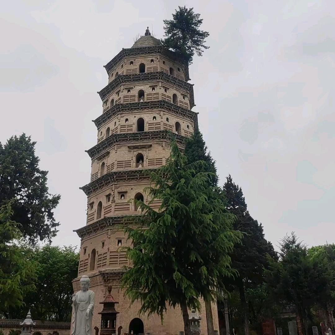 ⚡️我 命 由 我 不 由 天🚀