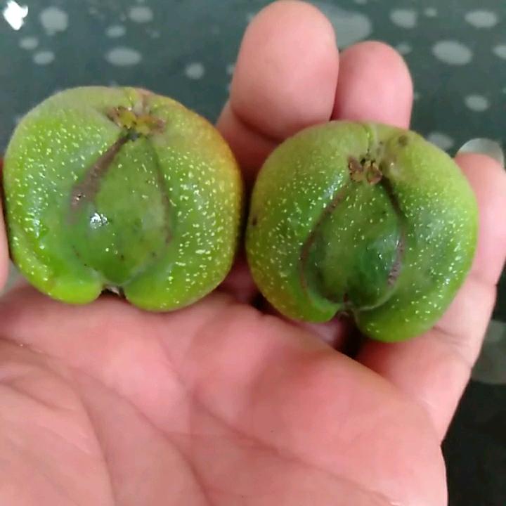伟伟核缘基地