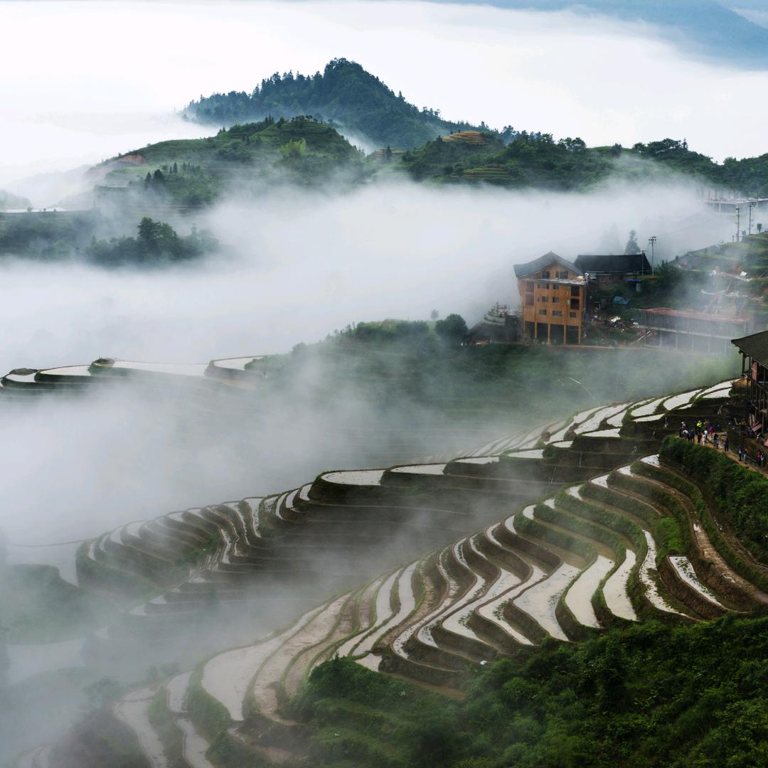 记录在欧洲的生活头像
