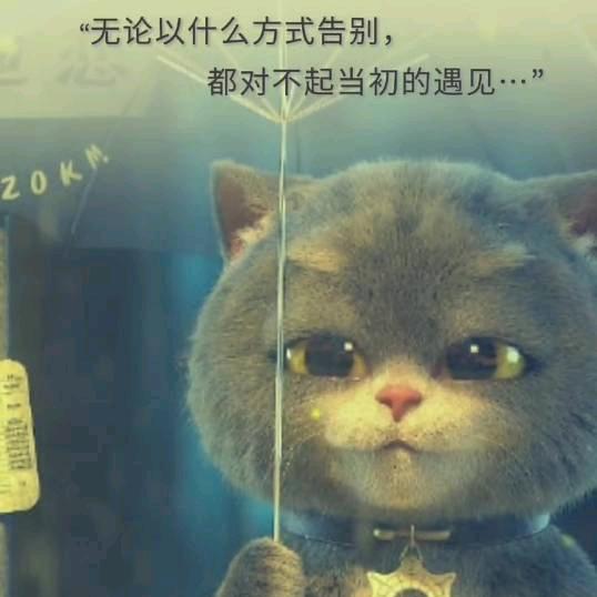 丿ぜ╭情缘
