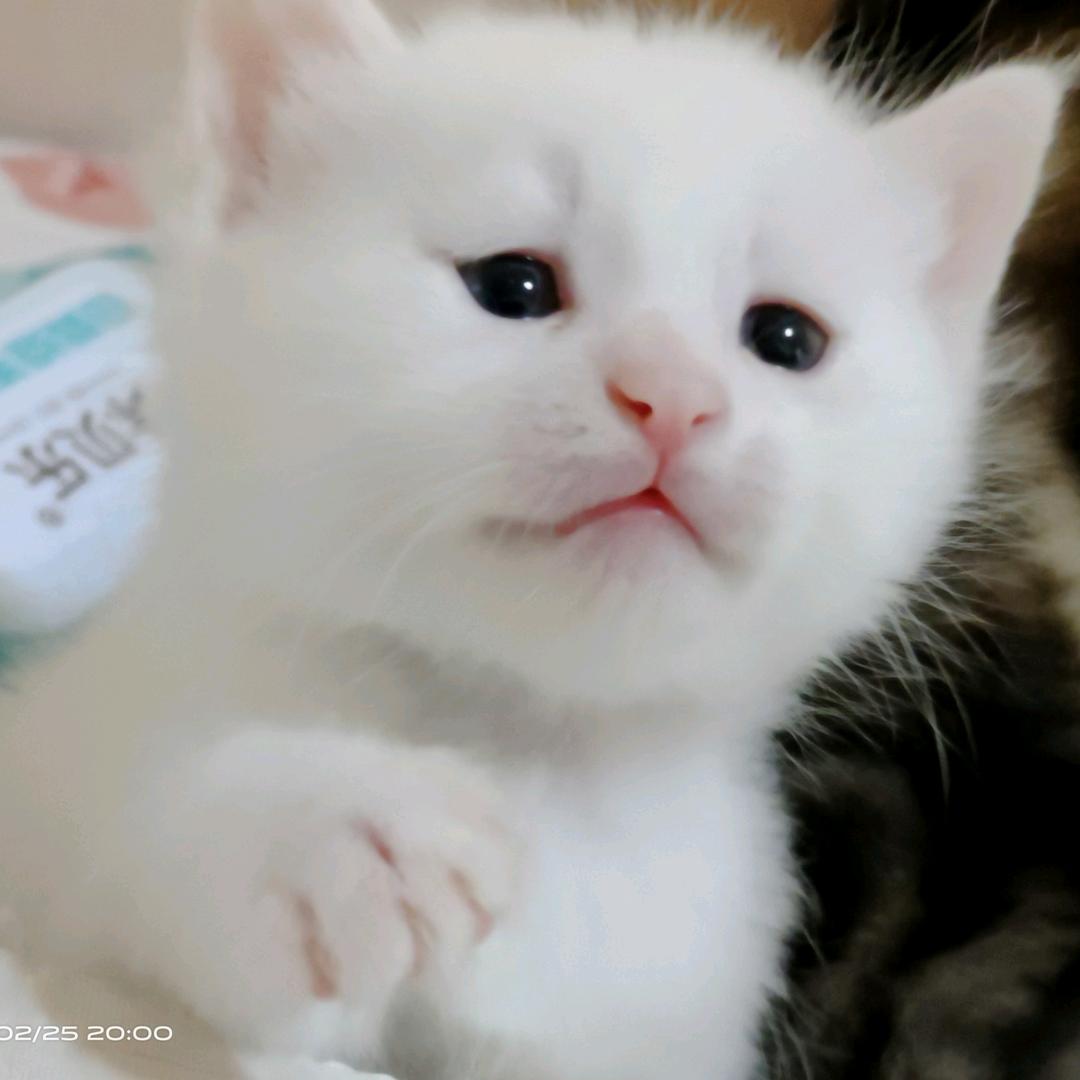 (๑•̀ㅂ•́)و✧涛