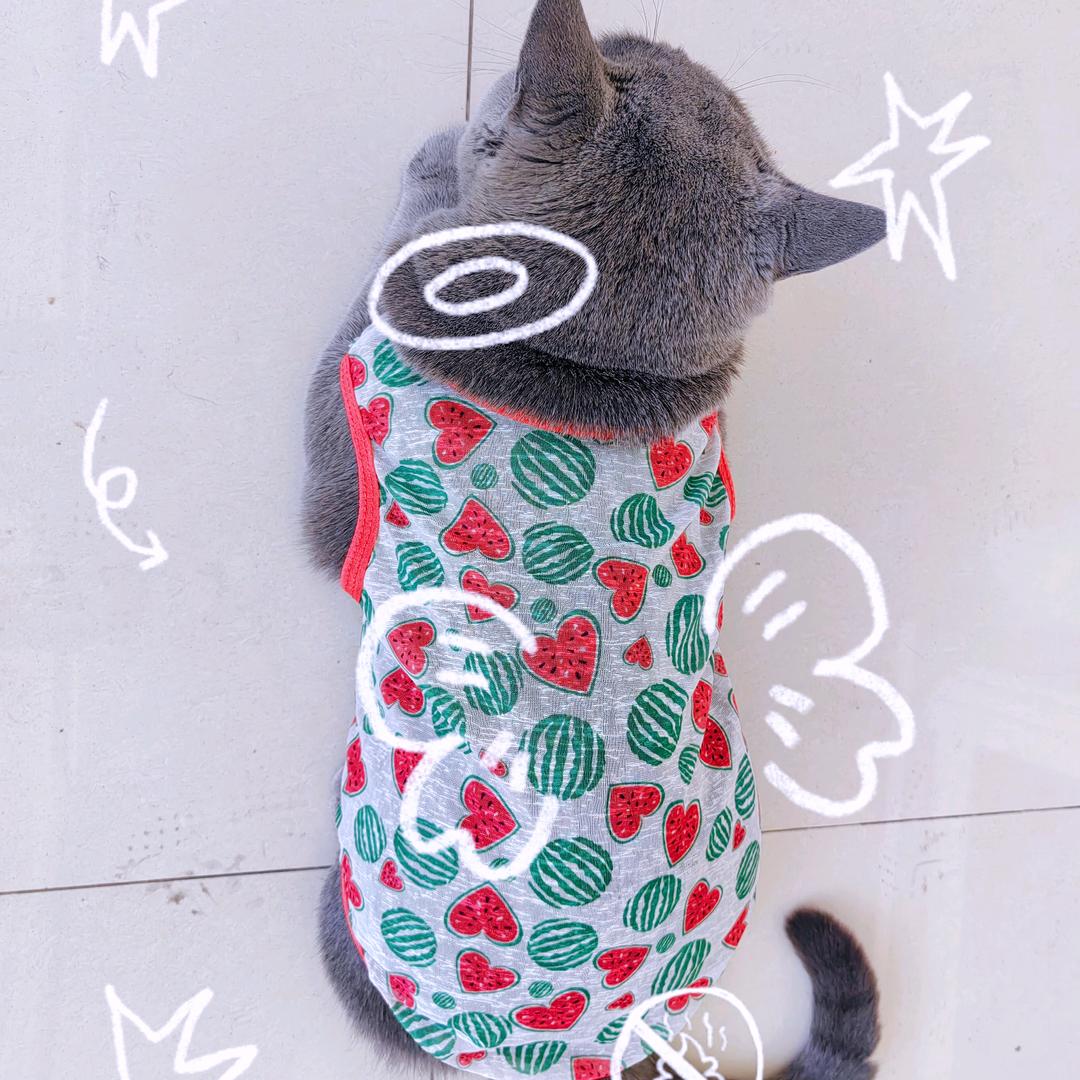 𝙎𝙞𝙡𝙮.小晴天.