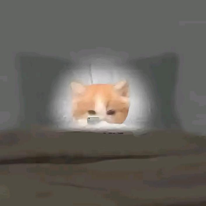 海瑟