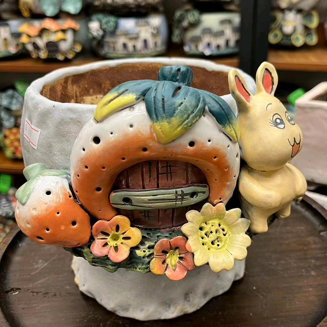 欢姐多肉植物店