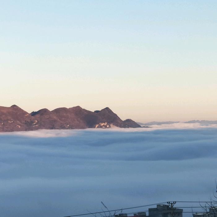 流浪游魂魄