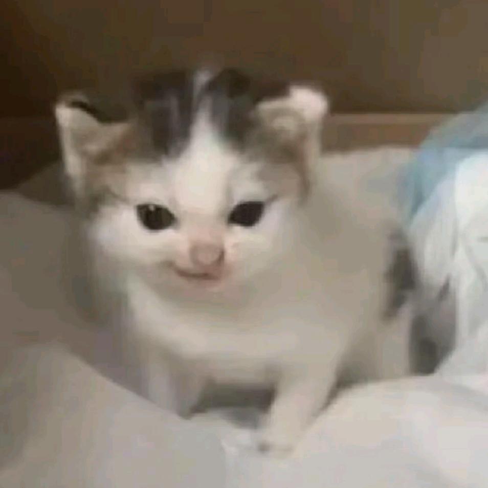 好欢萝