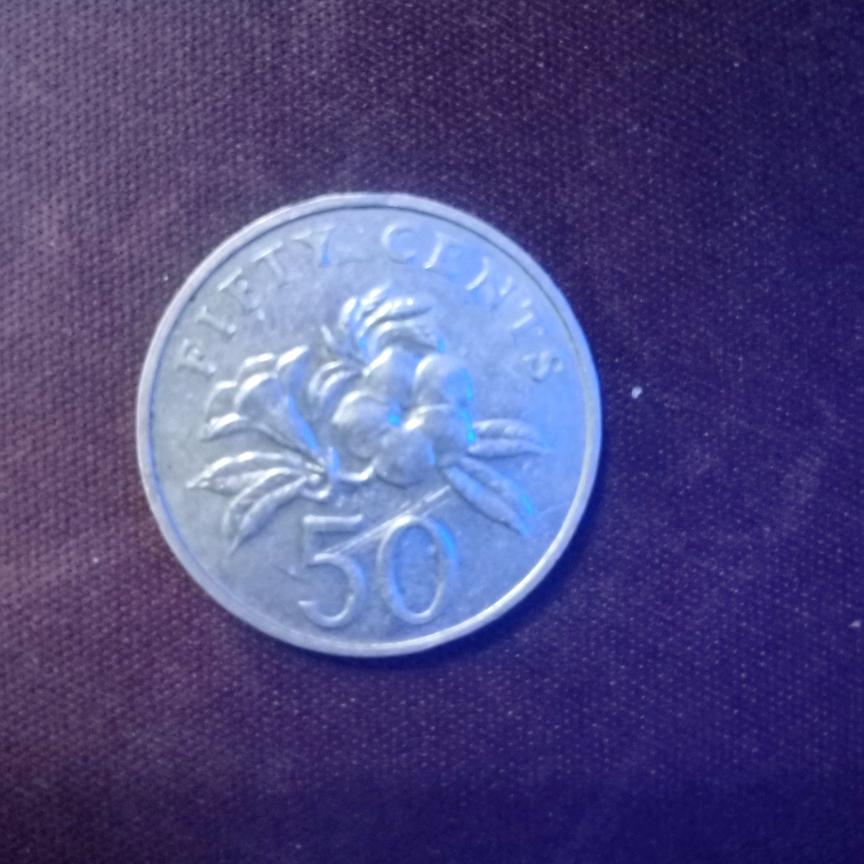 橘子味的小呆毛