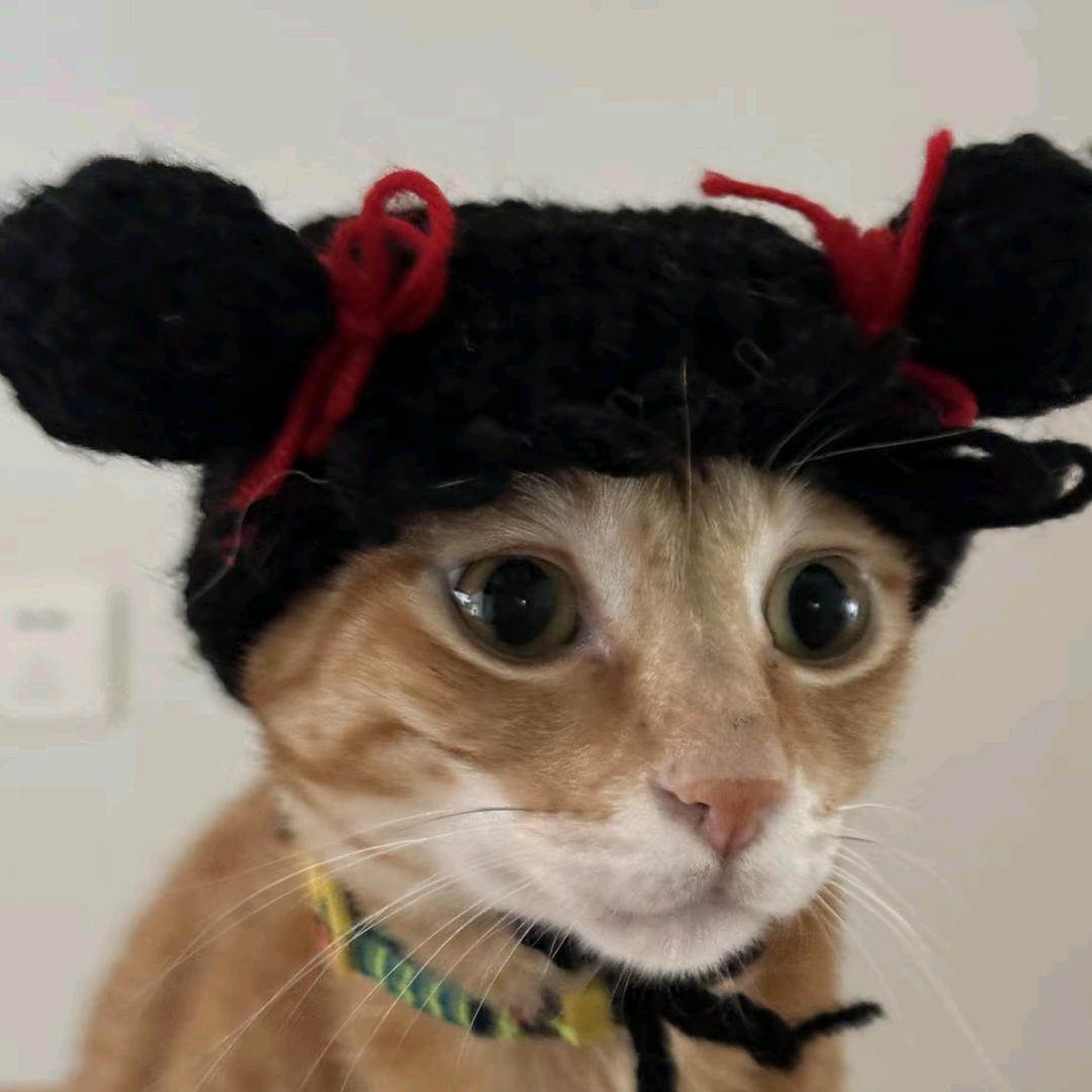 ♦︎▼■◀︎
