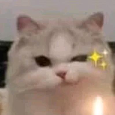 脚趾又双叒叕抽筋儿了啊！