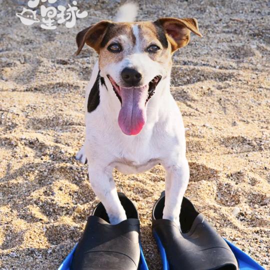 小迪传媒工作室