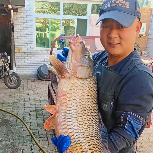 安新县老墨水产店