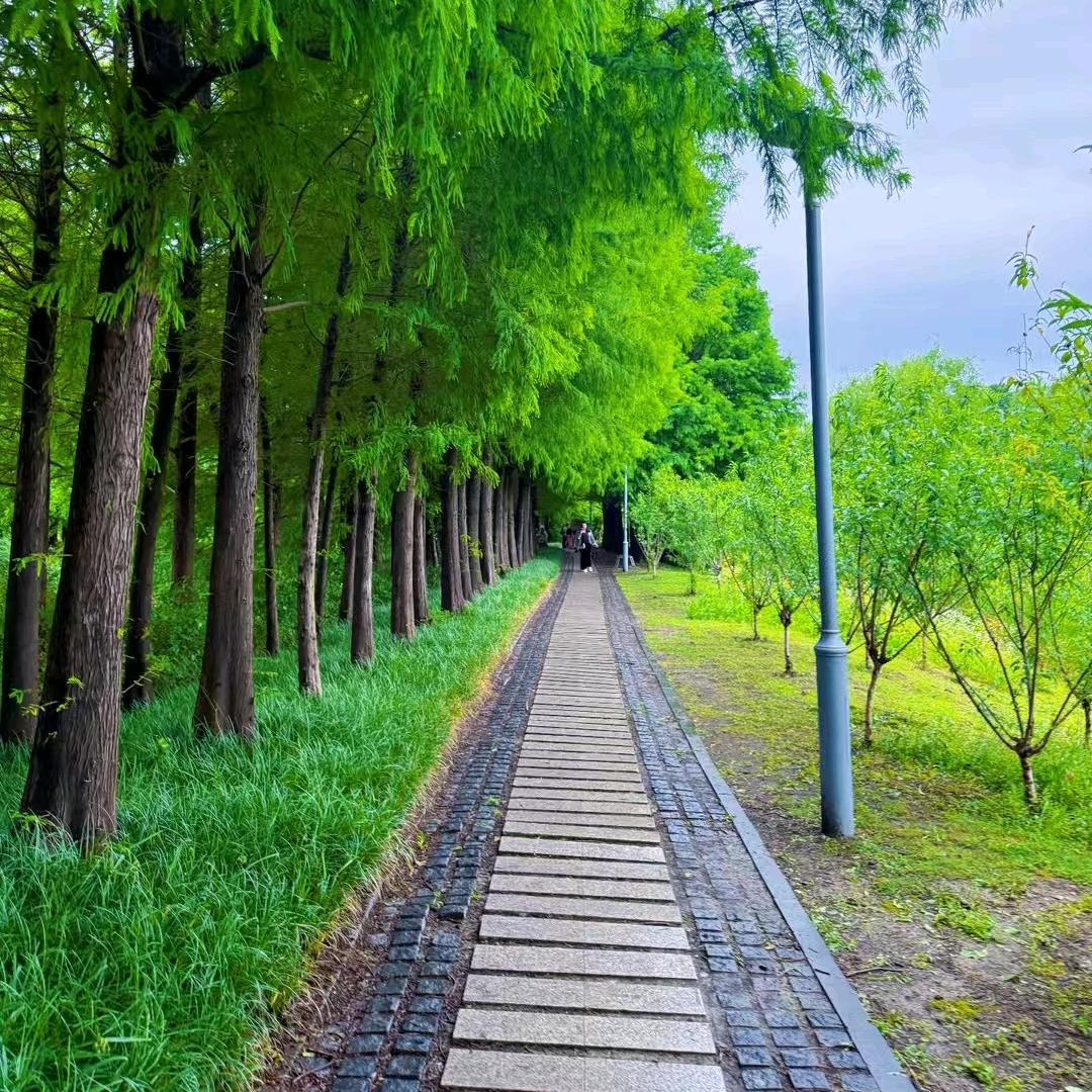 ☞李 好 ☜