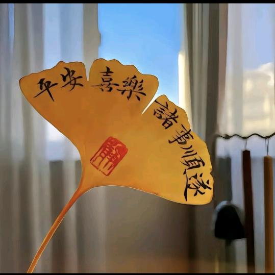 LUCKY 小胖球