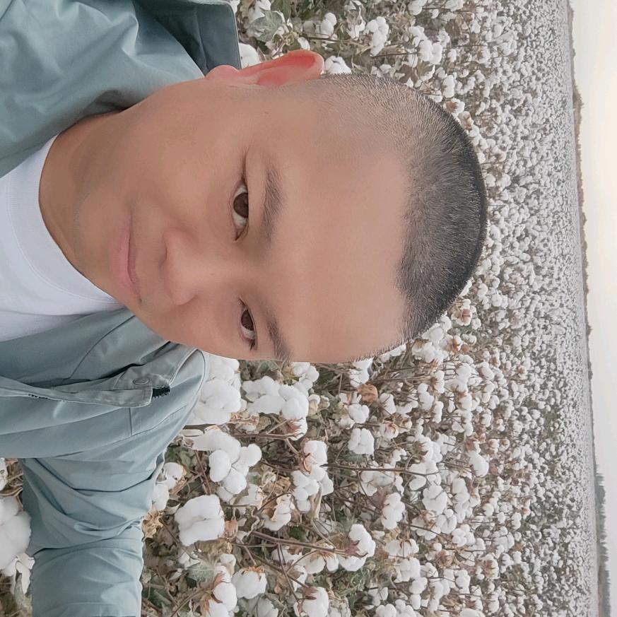 谢氏家族种棉花