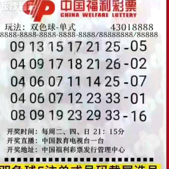 爱情是什么