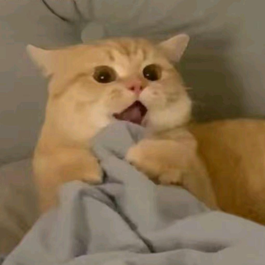 时安