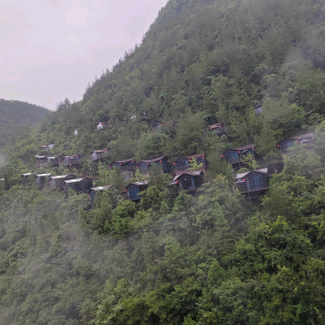 阳光总在风雨后