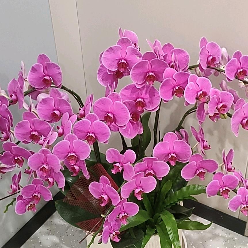 让心归零🍎🍓🌹🌺