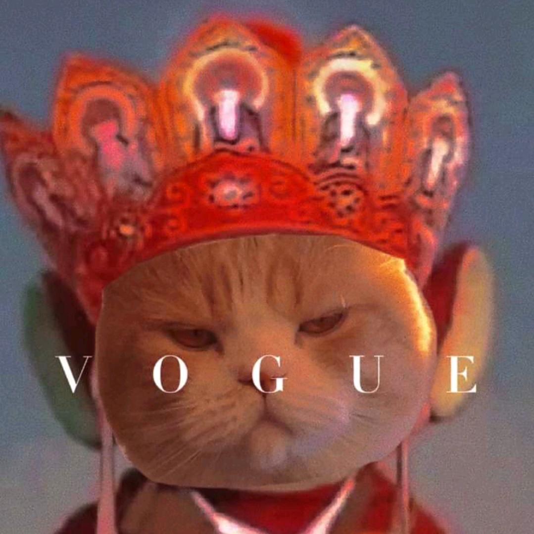 章鱼🐙只会哈哈哈