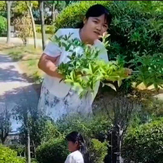 佛在心中留