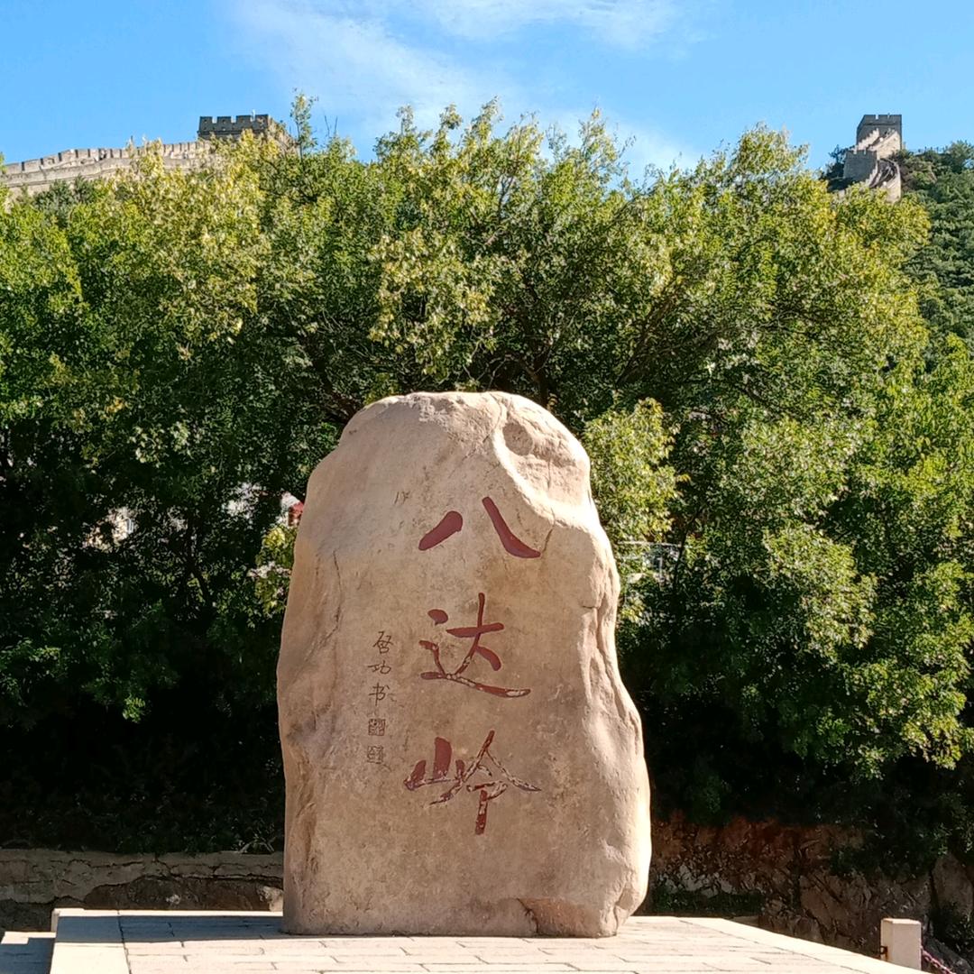 各有归舟