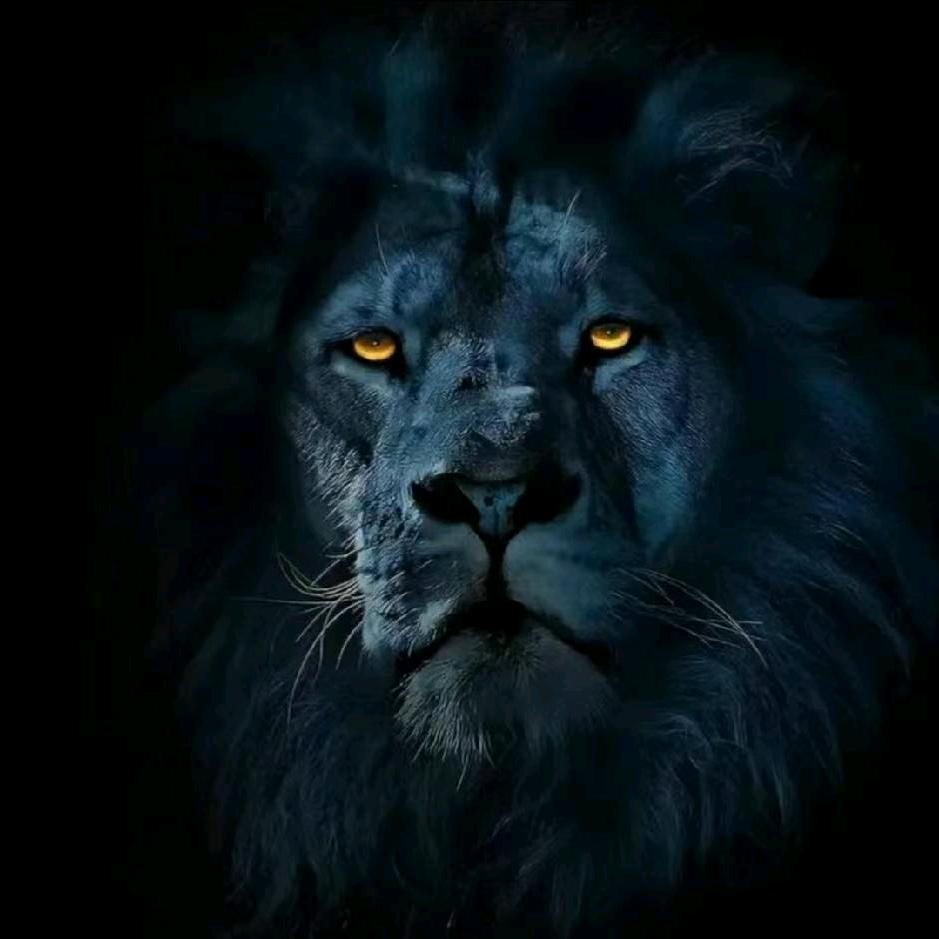 每天来瓶牛栏山