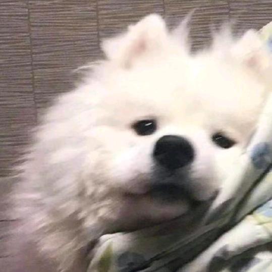 柒安_