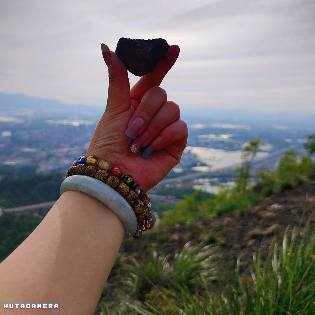 回归森林的小鹿