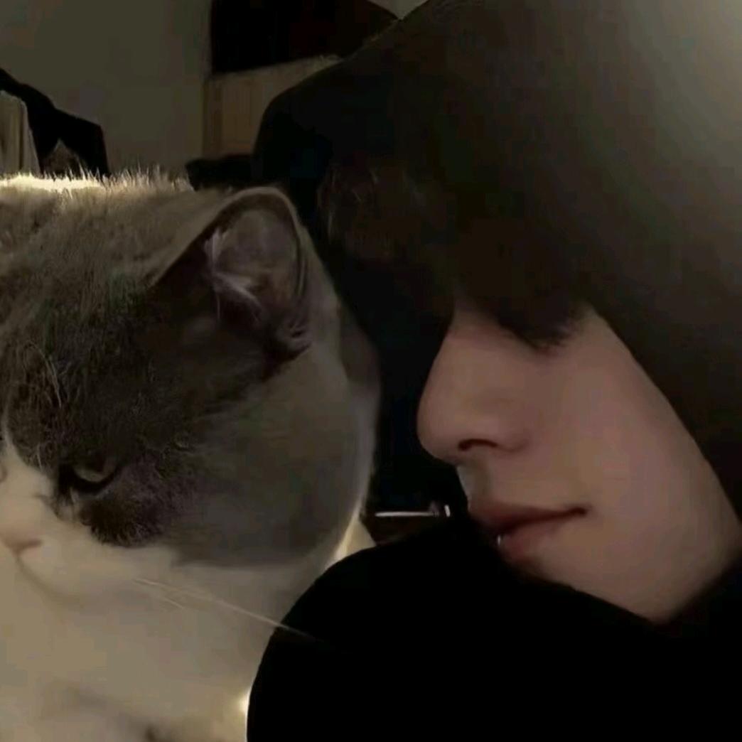 崔山隹的猫